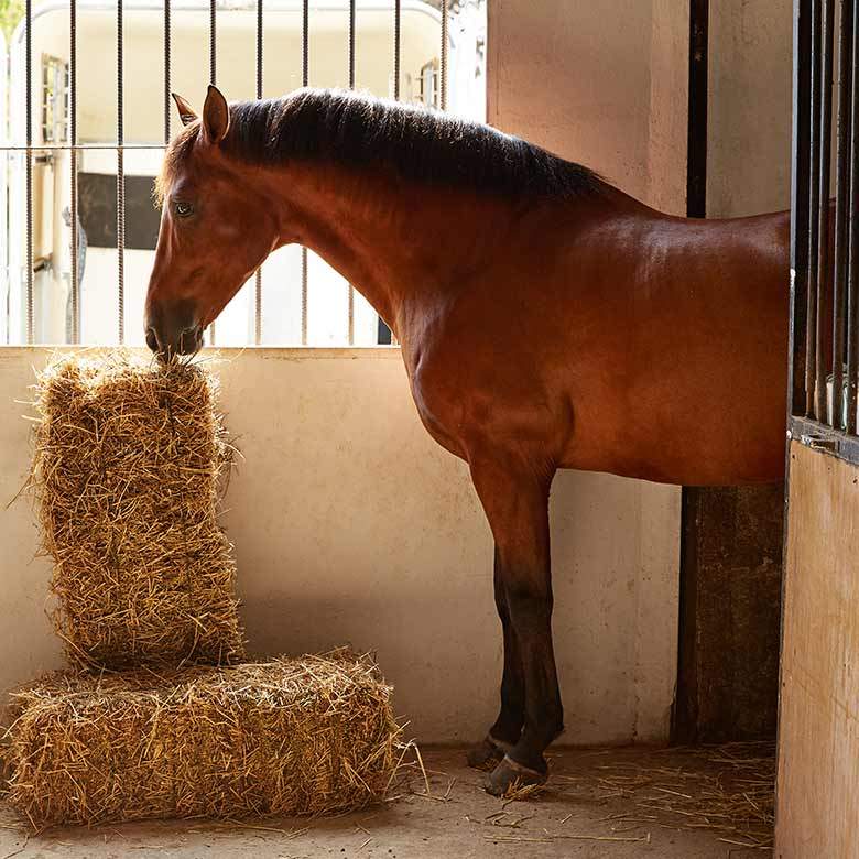 Use of Lenabox straw