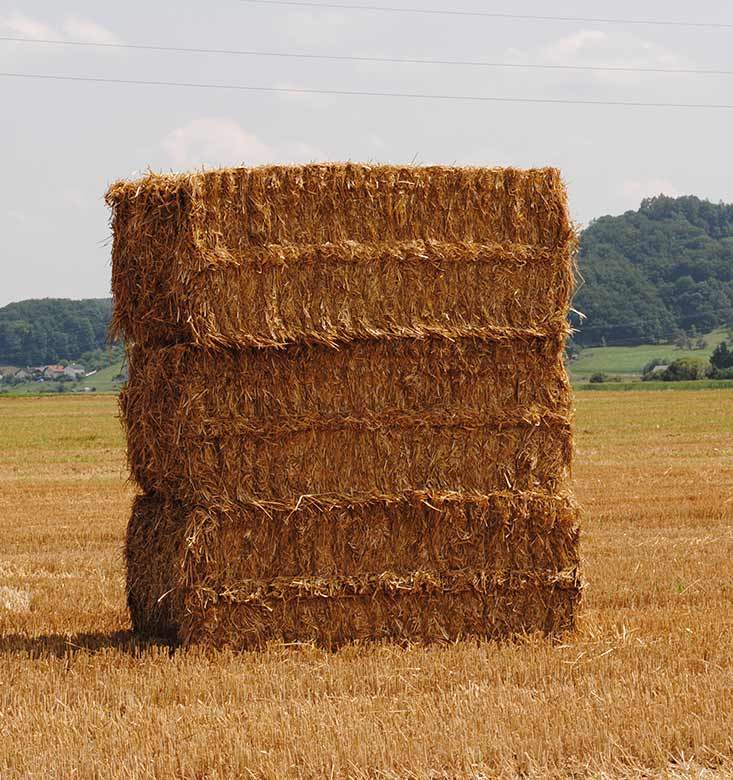 Use of Lenabox straw